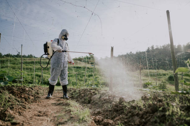 Best Mosquito Control Services  in Newcomerstown, OH