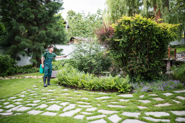 Best Residential Pest Control  in Newcomerstown, OH