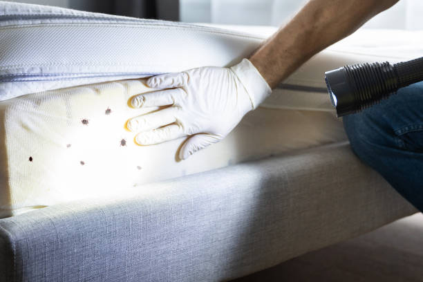 Best Flea Control Services  in Newcomerstown, OH